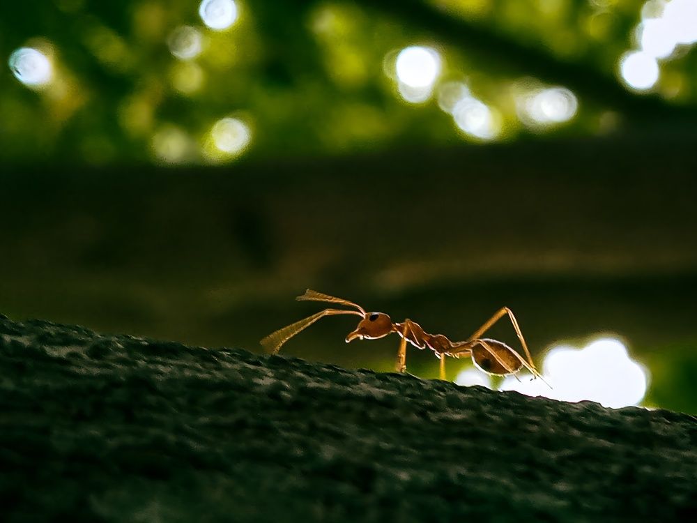 Photograph by Aditya Borah