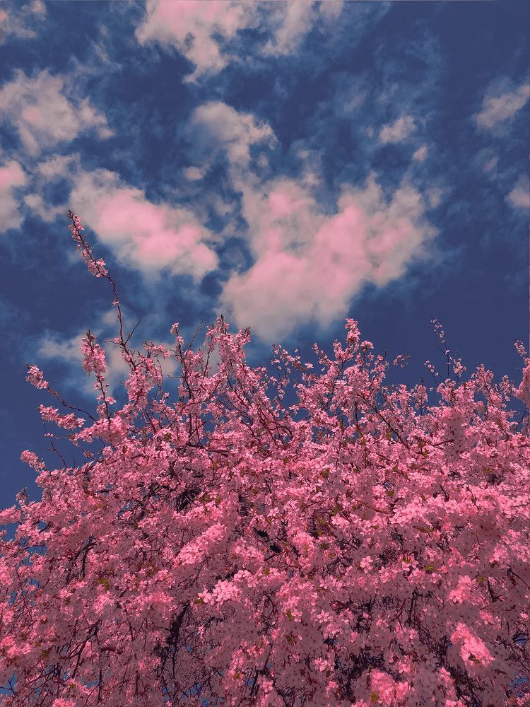 Photograph by Kate Sokolova