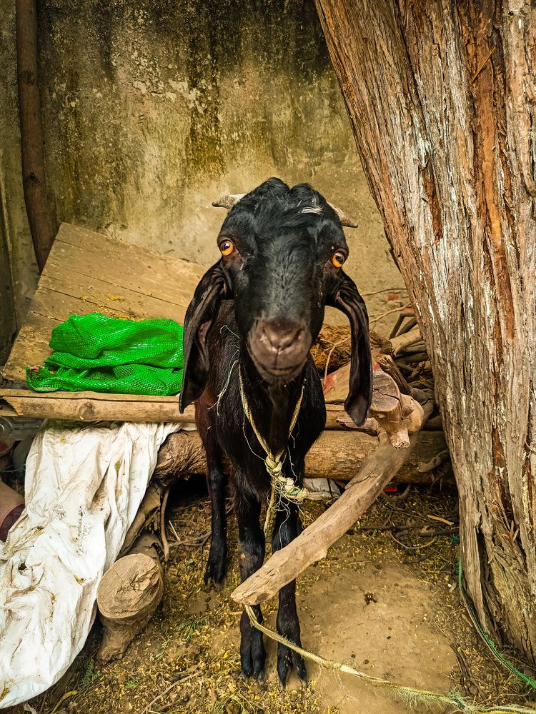 Photograph by Huzaifa Salmani