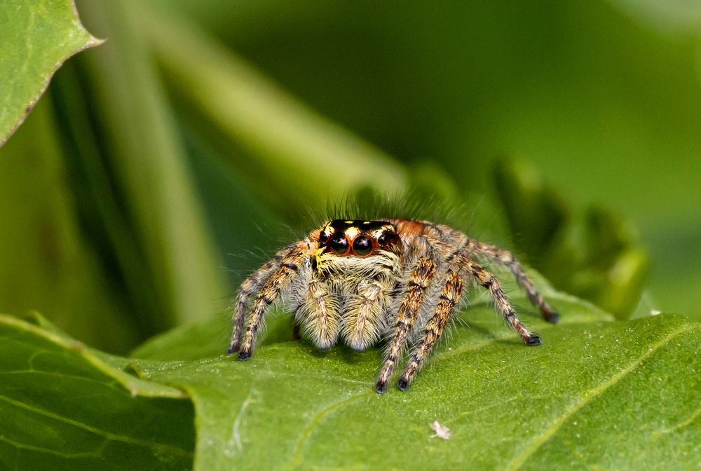 Photograph by Сергей Пак