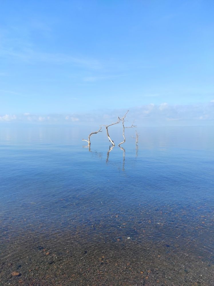 Photograph by Papudaengoyang Papudaengoyang