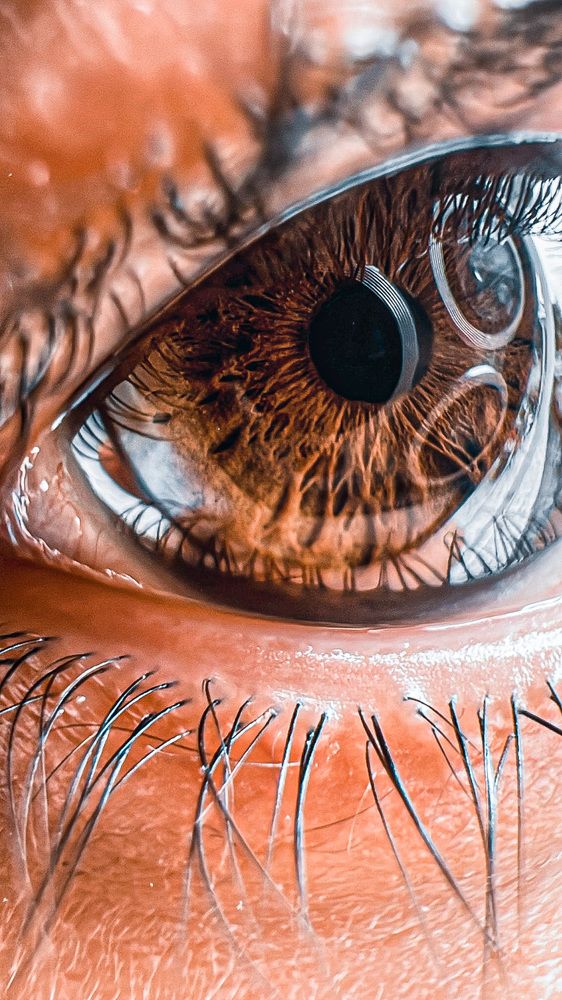 Фотография автора Danial Shokrollahi