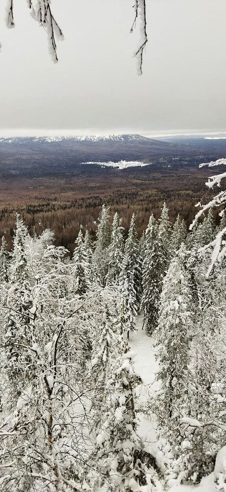 Фотография автора Веста Ягужинская