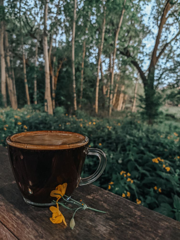 Фотография автора Kristina Nesteruk