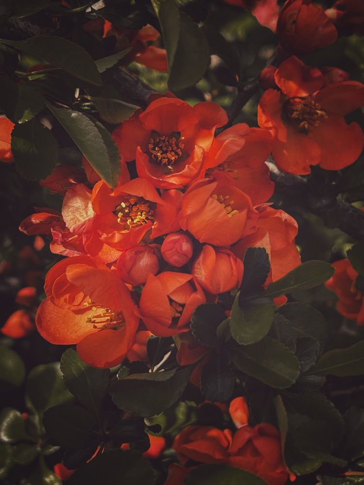 Photograph by Виктория Селютина