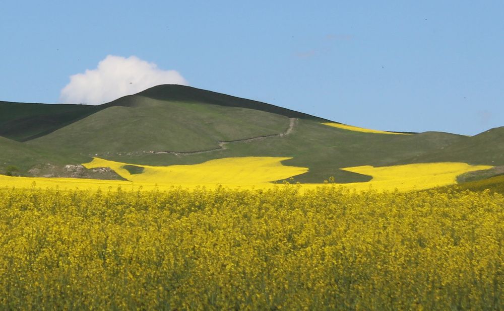 Photograph by Люция Кутлугужина