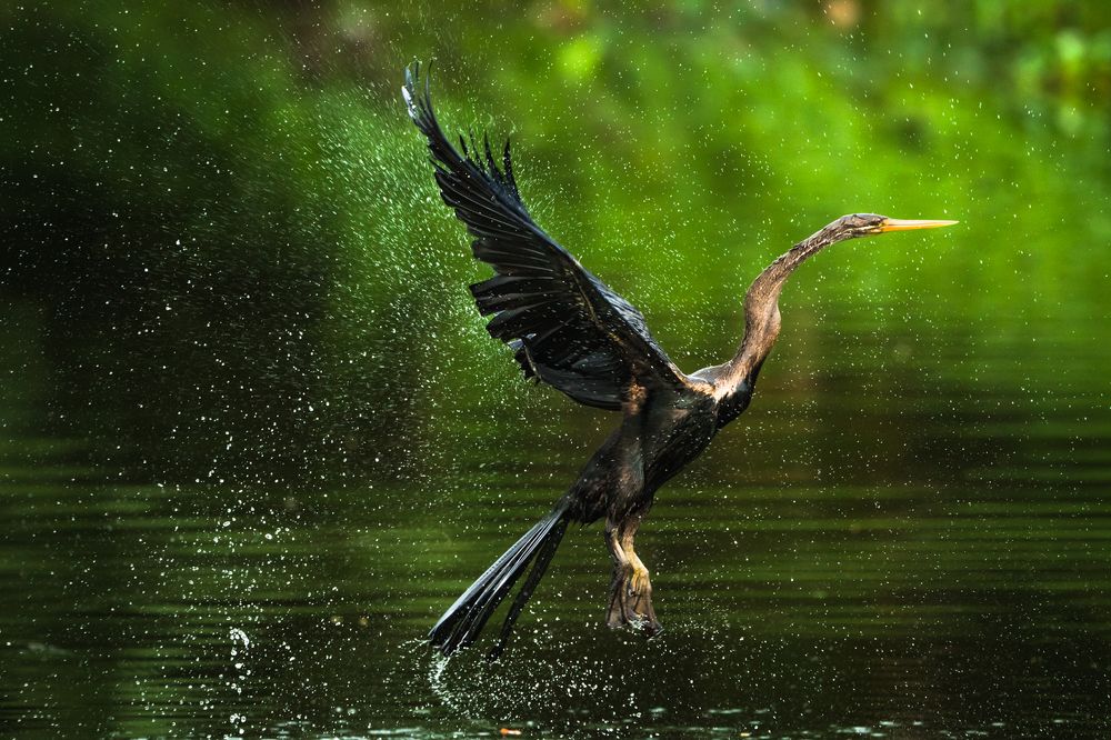 Photograph by Gimantha Perera