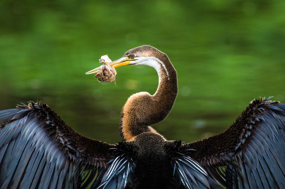 Photograph by Gimantha Perera