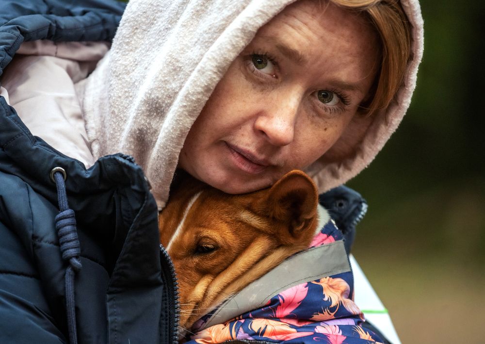 Photograph by Дина Колдомова