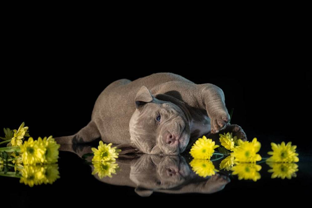 Photograph by Дина Колдомова