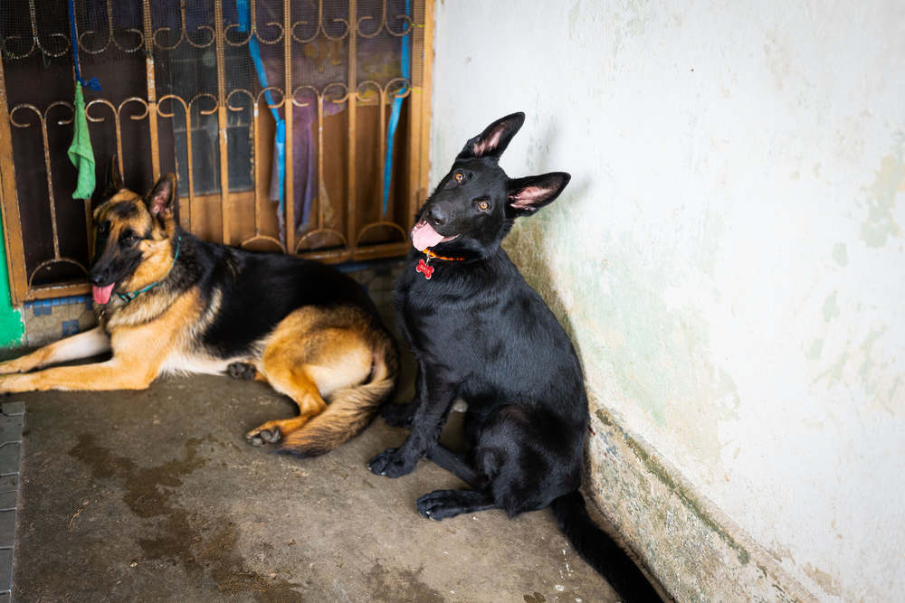 Photograph by EVELYN SIEW YEN CHAN