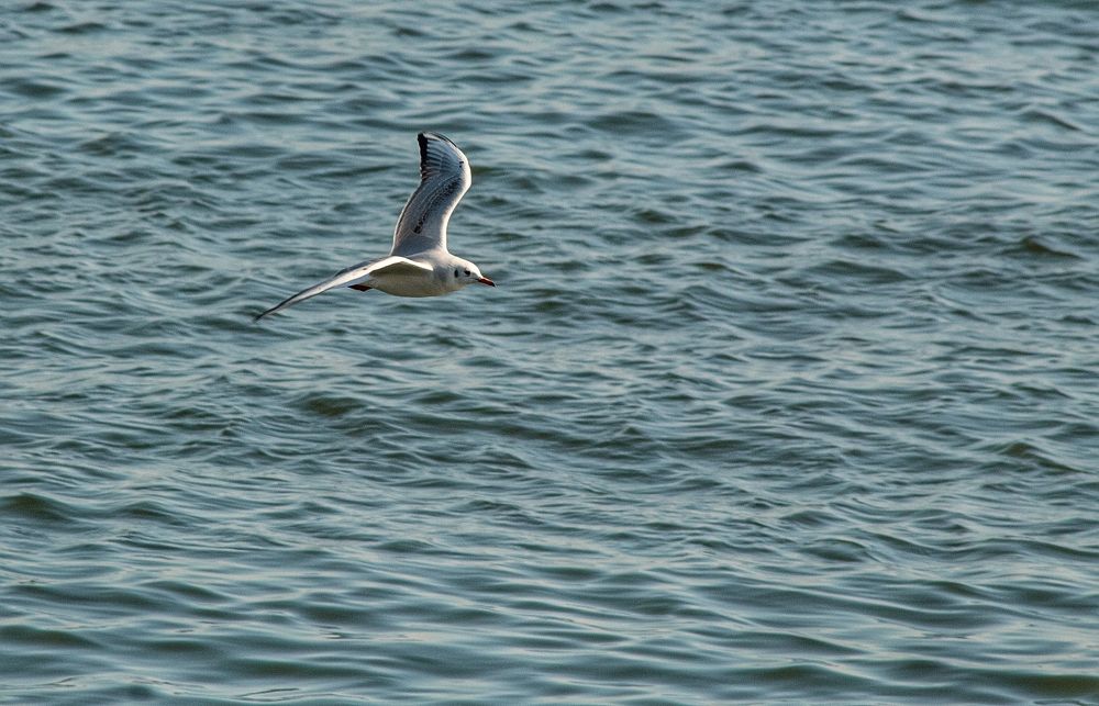 Photograph by Владимир Осипов