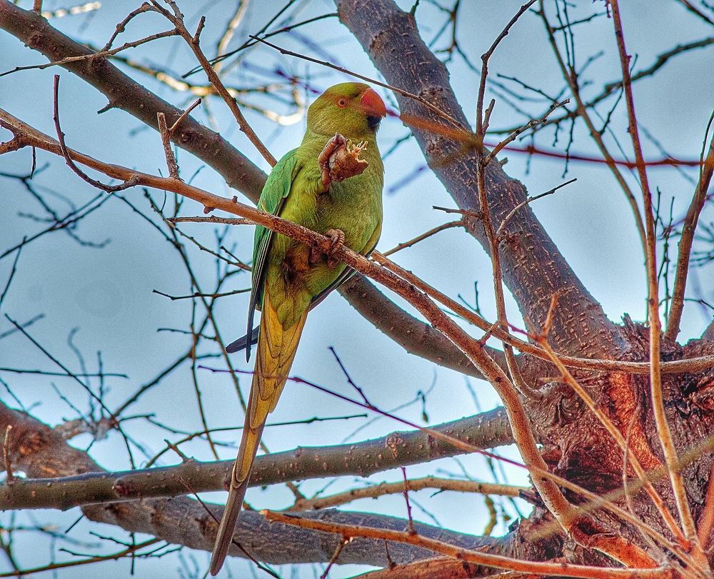 Photograph by Владимир Осипов