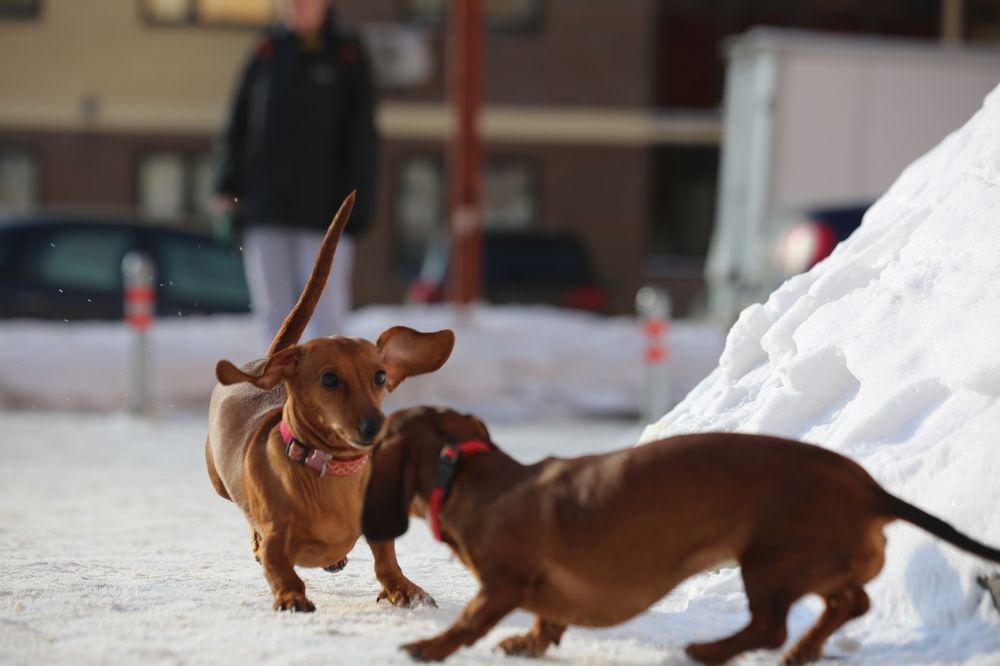 Photograph by Олег Раков