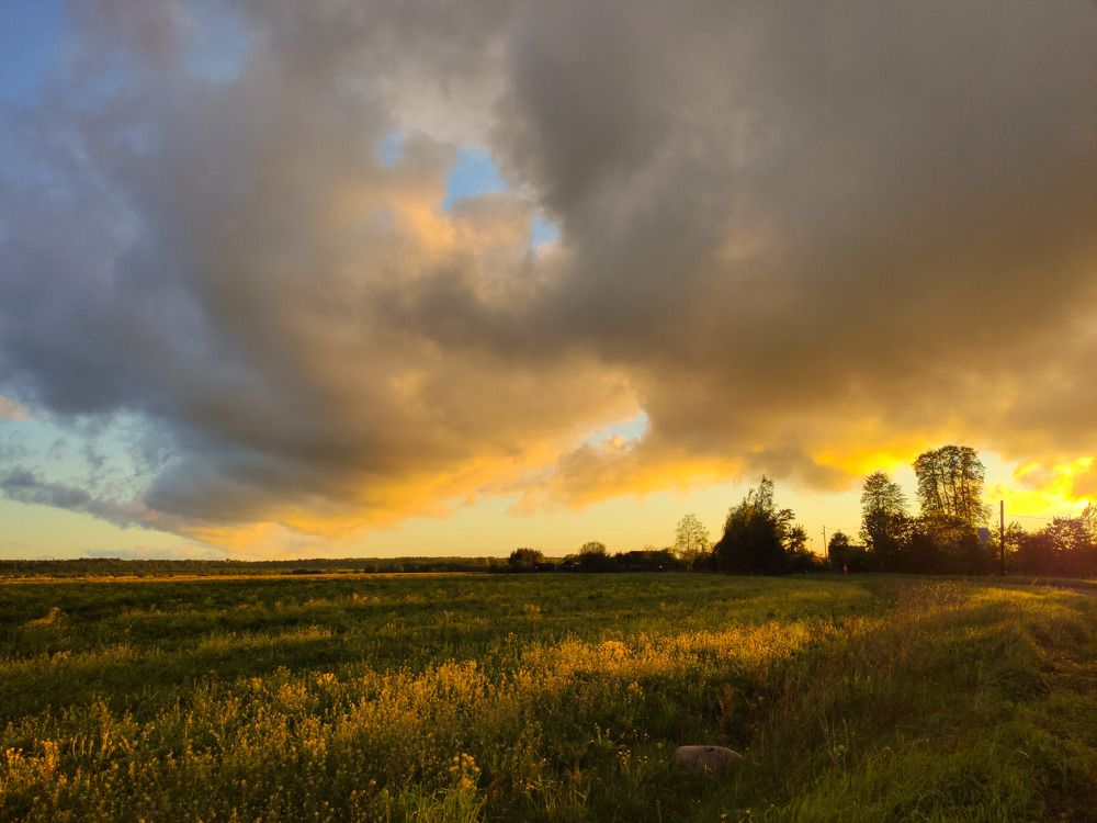 Photograph by Рассохин Николай