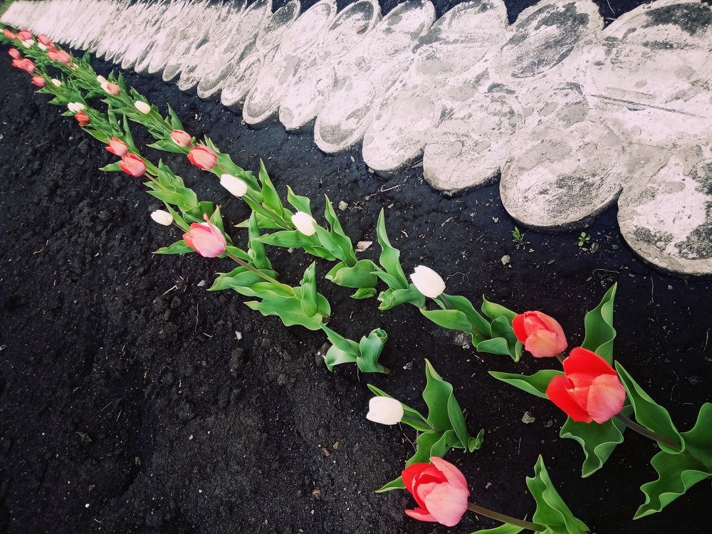 Photograph by Мария Опритова