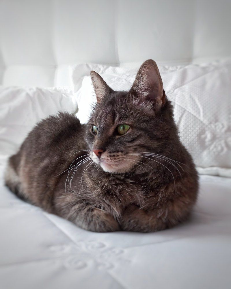 Photograph by Люда Яковлева