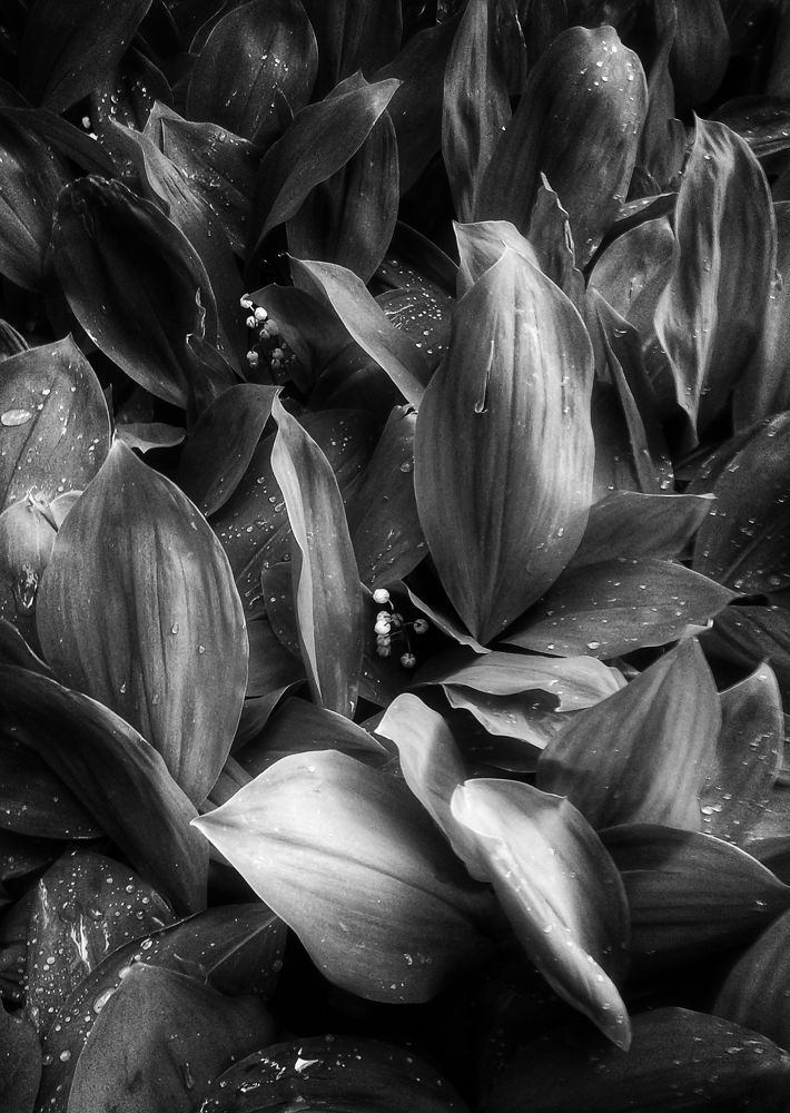 Photograph by Мария Никольская