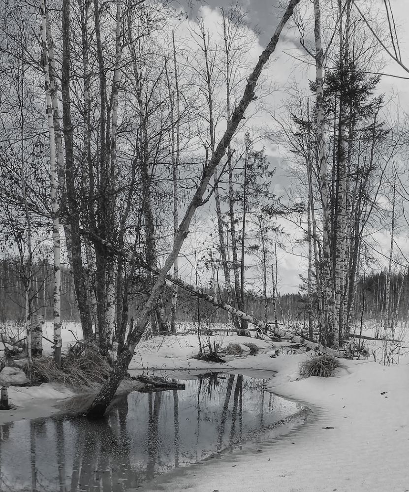 Photograph by Люда Яковлева