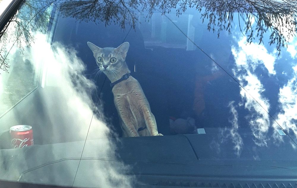 Photograph by Татьяна Карцева