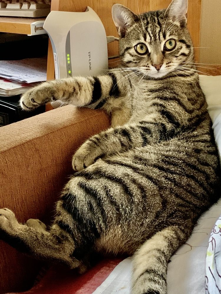 Фотография автора Юлия Недосекина