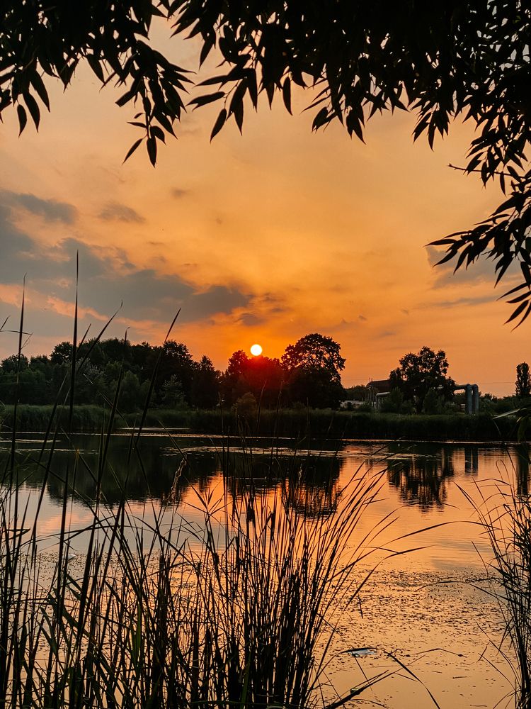 Фотография автора Лукашенко Ольга