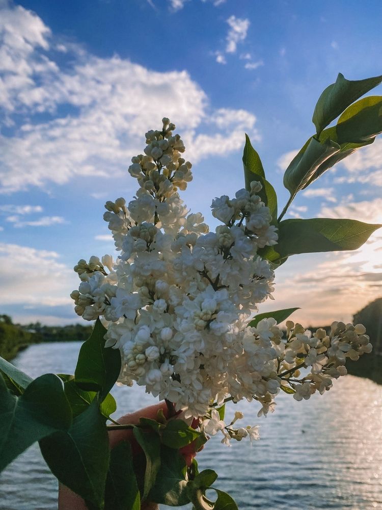 Фотография автора Лукашенко Ольга