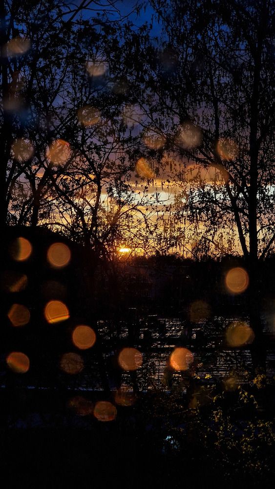 Photograph by Vera Vinogradova