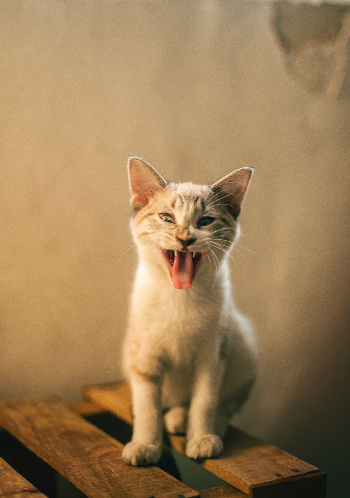 Photograph by Patrick Landa