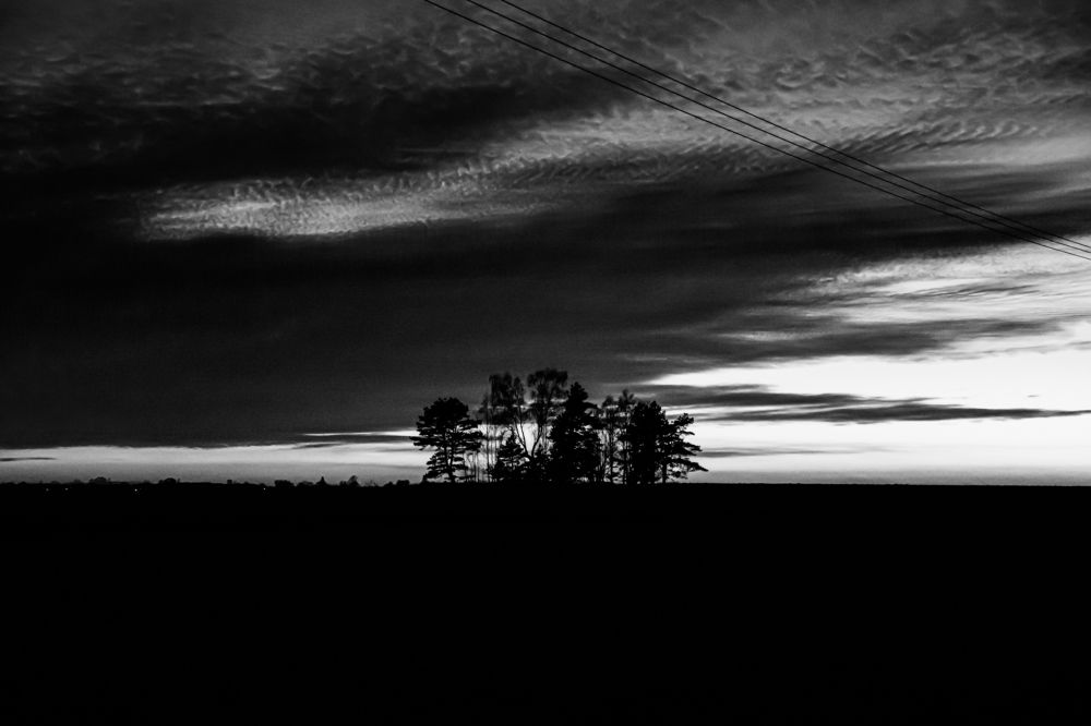 Фотография автора Лукашенко Ольга