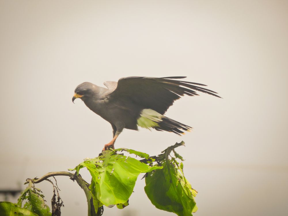 Photograph by Patrícia Helena