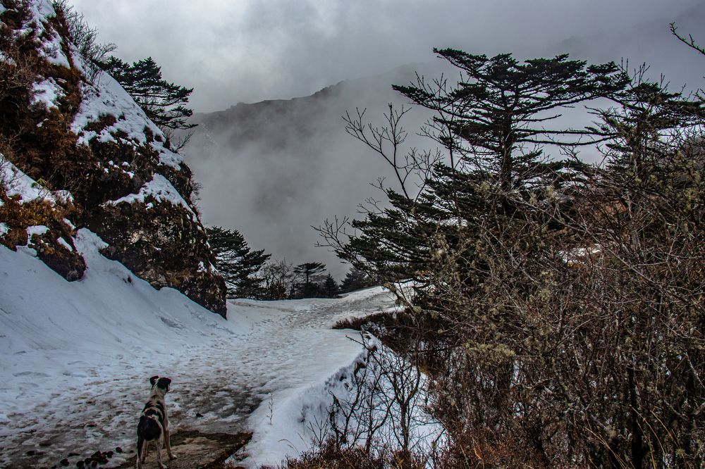 Photograph by Susobhan Biswas