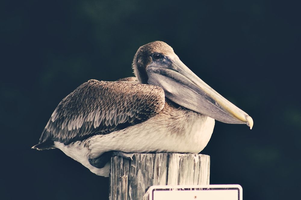 Photograph by Yuliya Trints