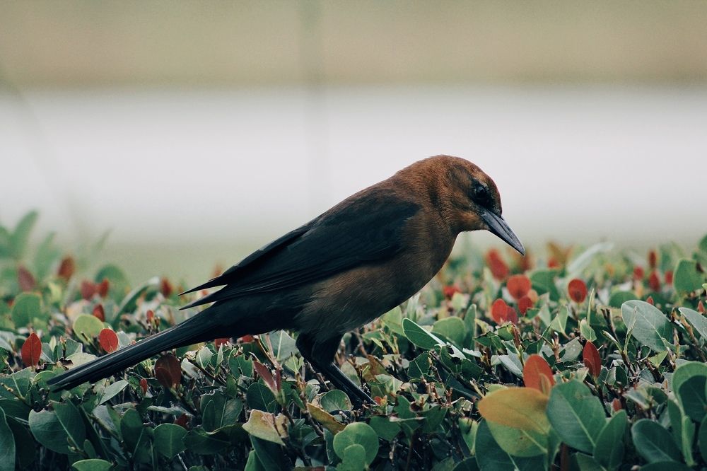 Photograph by Yuliya Trints