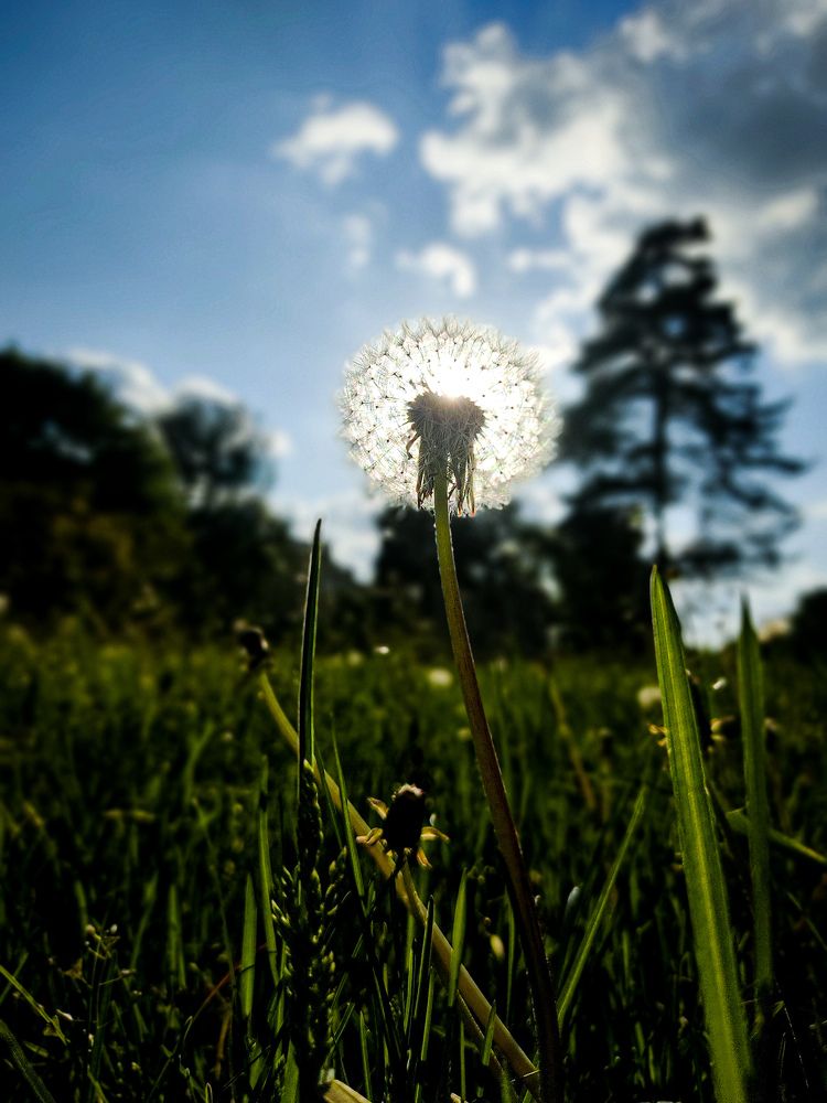 Photograph by Олександр Дормидонтов