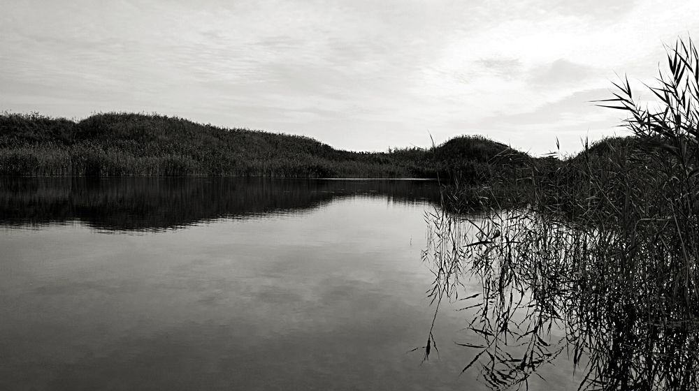 Photograph by Анастасия