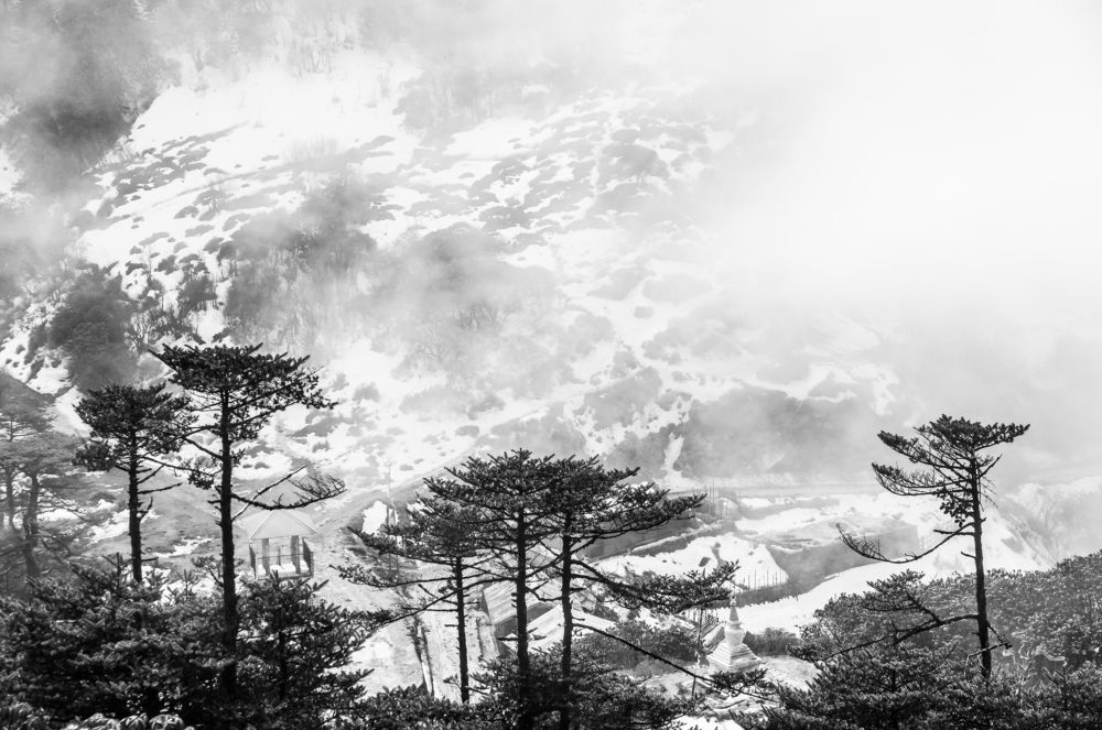 Photograph by Susobhan Biswas