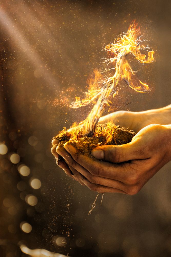 Фотография автора Behnam