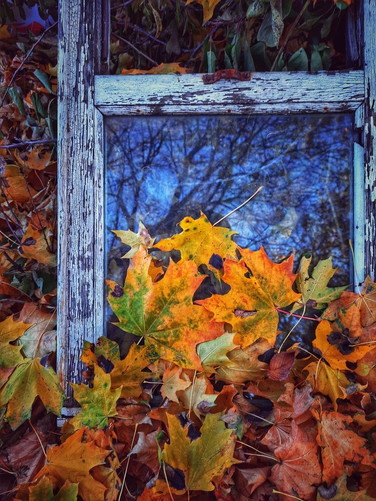 Photograph by Ирина Кошлюнова