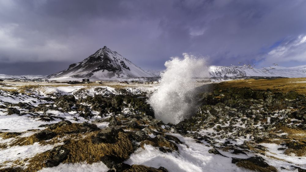 The Blowhole from the West Coast