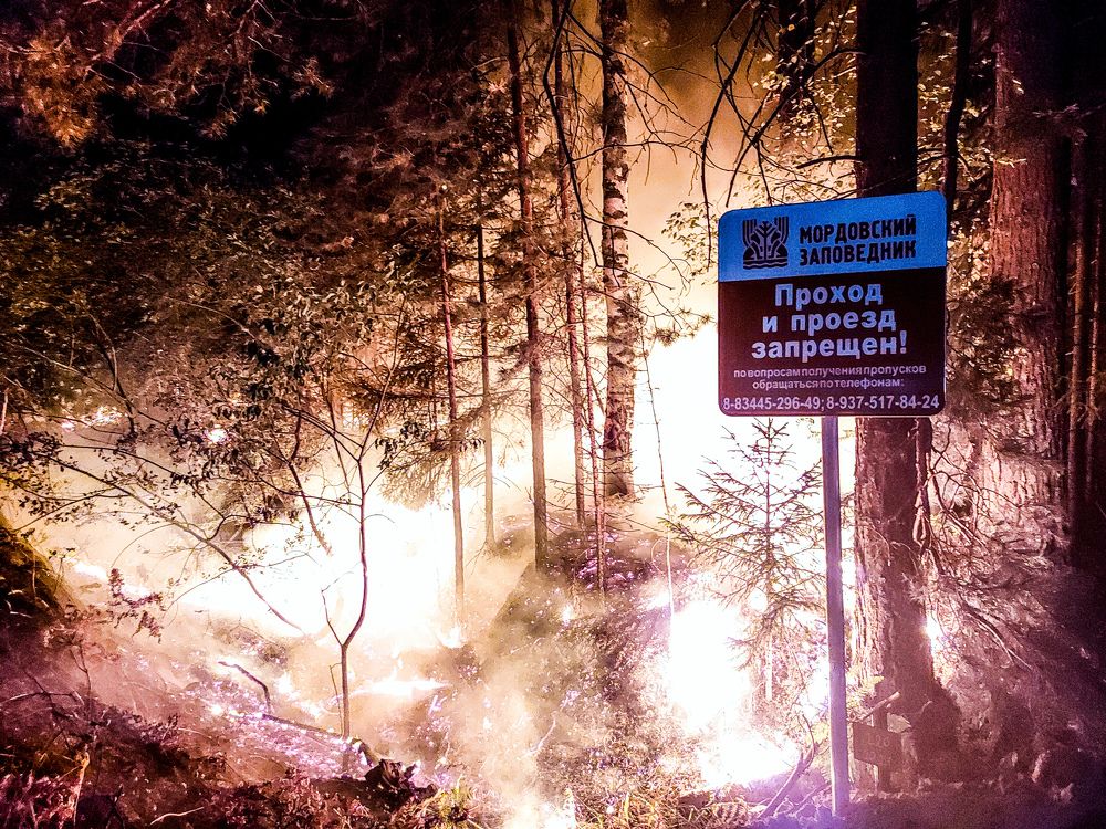 Photograph by Сергей Лашнев