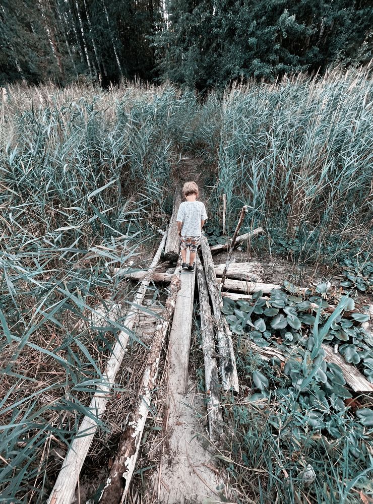 Photograph by Татьяна Шалкова