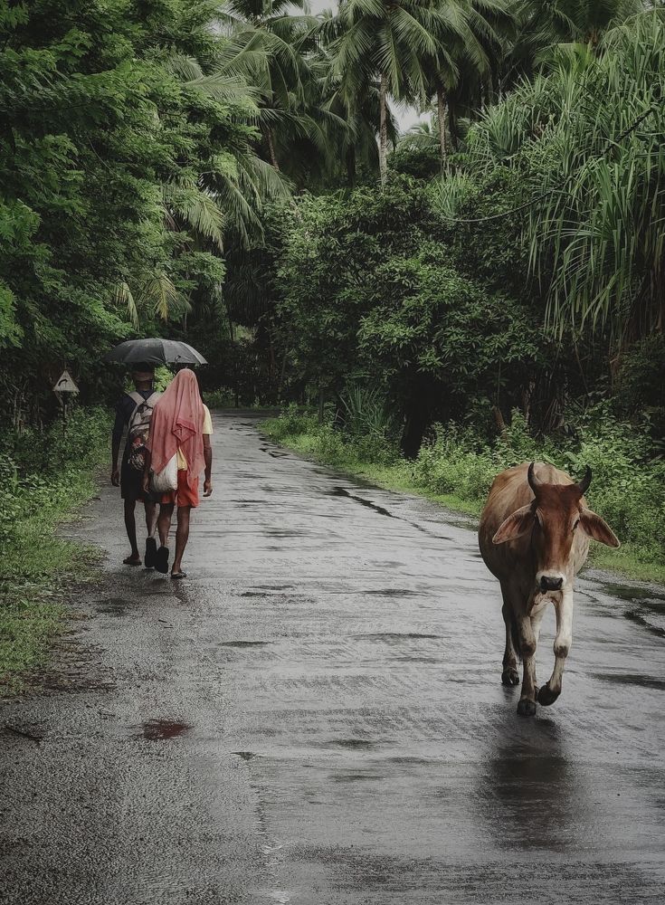 Photograph by Anunay Mistry