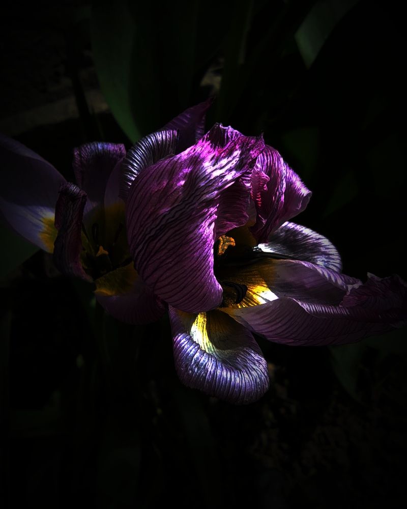 Photograph by Мария Прокопенко