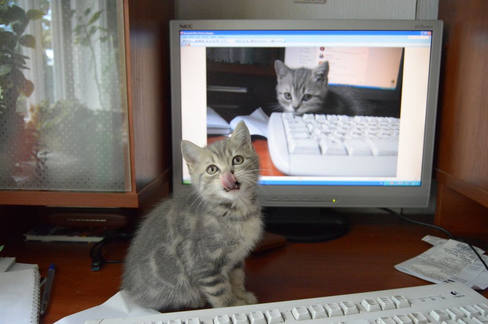 Photograph by Екатерина Казарцева