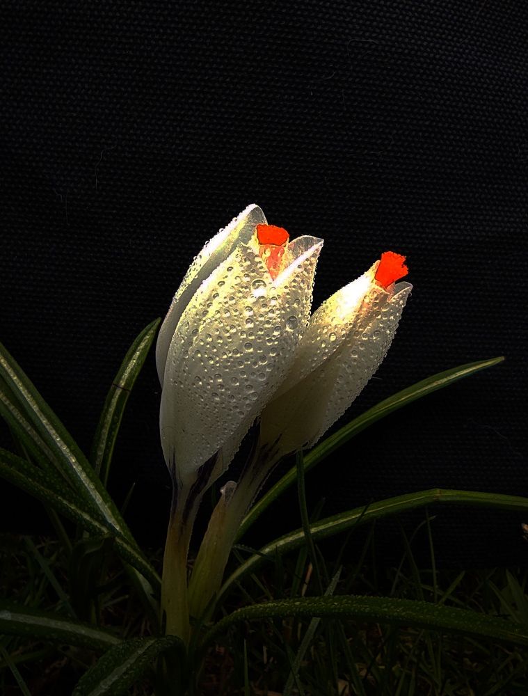 Photograph by Мария Прокопенко