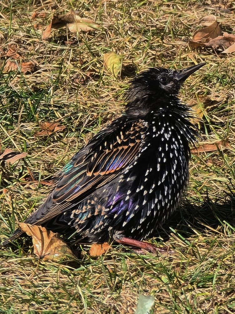 Photograph by Светлана Смирнова