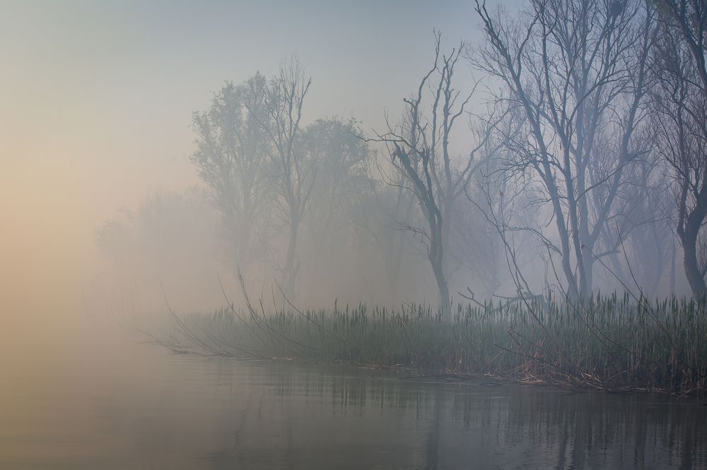 Photograph by Алексей Доценко