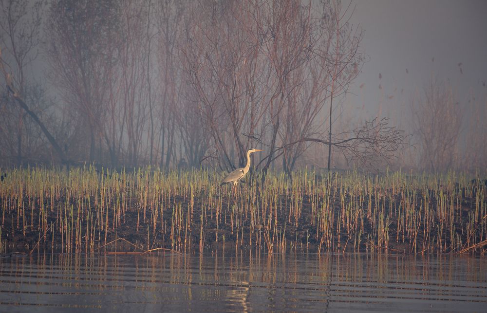Photograph by Алексей Доценко