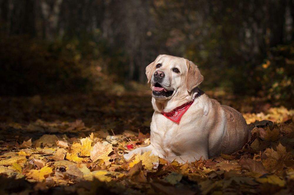 Photograph by Людмила Потапова